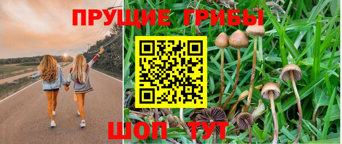 Галлюциногенные грибы мицелий Беслан