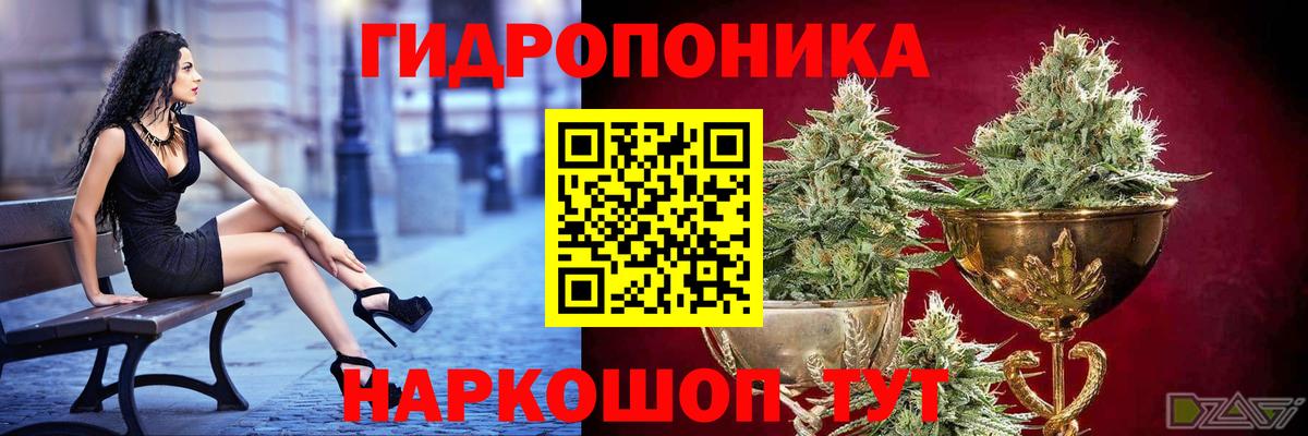 Канабис планчик  Бошки Шишки план  Беслан  Вход с VPN  Канабис конопля  Бошки Шишки конопля 